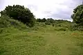 Noar Hill