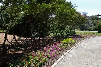 Border Walk