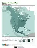 Species richness map (birds)