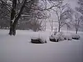 Mansfield, Ohio paralyzed by snow and blowing snow saw a storm total of 19.7&nbsp;in (50.0&nbsp;cm) on March 7–8, 2008.