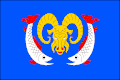 Flag of Nová Ves