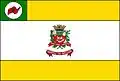 Flag of Novo Horizonte