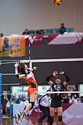 Nozomi Asakawa