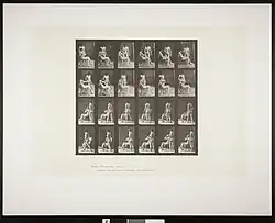 Original collotype