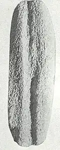 Arrow shaft straightener