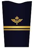 Mess jacket sleeve insignia for a lieutenant (2003–present)