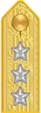 Shoulder mark on uniform m/1910 (1910–1923)
