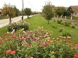 Centre of Mokré