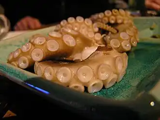 Closeup of suckers