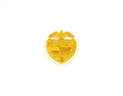 Digital reconstruction of a state flag used by the American legion, 1920