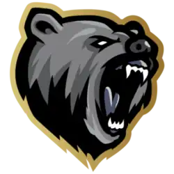 Team logo