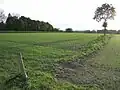 View of field in Olland where remains of Roman settlements were found