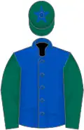 Royal blue, dark green sleeves, dark green cap, royal blue star