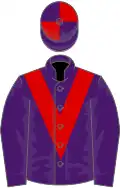 Purple, red chevron, quartered cap