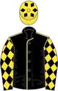 Black, yellow seams, yellow diamonds on sleeves, yellow cap, black diamonds