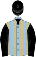 Light blue and beige stripes, black sleeves and cap