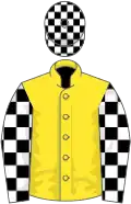 Yellow, black and white checked sleeves, black and white checked cap
