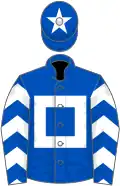 Royal blue, white hollow box, white chevrons on sleeves, white star on cap