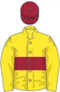 Yellow, maroon hoop and cap