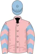 Pink, light blue and royal blue chevrons on sleeves, light blue cap