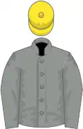 Grey, yellow cap