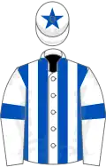 White and royal blue stripes, royal blue armlet, royal blue star on cap