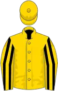 Gold, black stripes on sleeves, gold cap