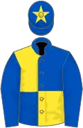 Royal blue and yellow quartered, royal blue sleeves, royal blue cap, yellow star