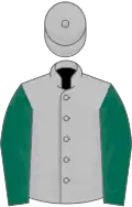 Silver, dark green sleeves
