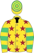 Yellow, maroon stars, yellow and emerald green hooped sleeves and cap
