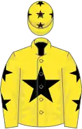 Yellow, black star, black stars on sleeves, yellow cap, black stars