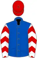 Royal blue, white sleeves, red chevrons, red cap