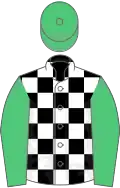 Black and white check, emerald green sleeves and cap