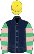Dark blue, emerald green and pink hooped sleeves, yellow cap