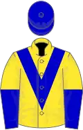 Yellow, blue chevron, halved sleeves, blue cap