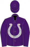 Purple, silver horseshoe