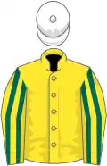 Yellow, dark green striped sleeves, white cap