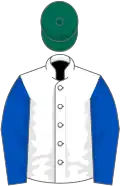 White, royal blue sleeves, dark green cap