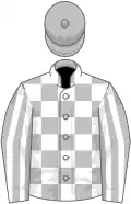 Silver and white check, striped sleeves, silver cap