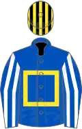ROYAL BLUE, yellow hollow box, royal blue and white striped sleeves, black and yellow striped cap