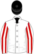 White, red striped sleeves, black cap