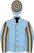 Light blue, chocolate striped sleeves, hooped cap