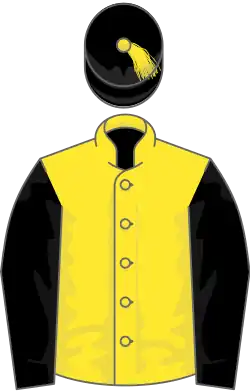 Yellow, black sleeves and cap with yellow tassel