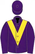 Purple, yellow chevron