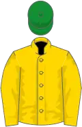Gold, black and green diagonal stripes, gold sleeves, green cap