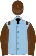 Light blue, brown epaulets, sleeves and cap