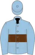 Light blue, brown hoop