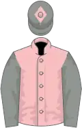 Pink, grey sleeves, grey cap, pink diamond
