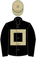 Black, beige hollow box and cap