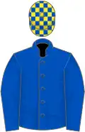Royal blue, yellow and blue check cap